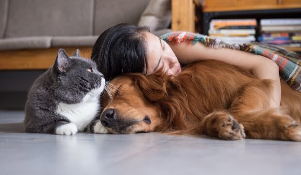 Benefits of Our Furry Friends!