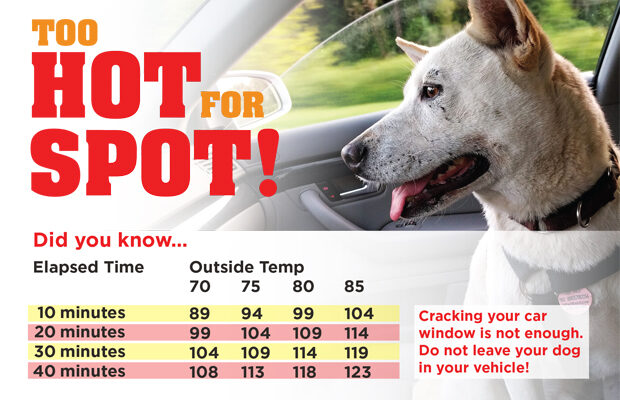 Too Hot For Spot